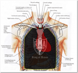 RMA overtop anatomical drawing of body