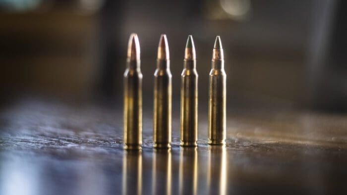 Various 5.56 Cartridges